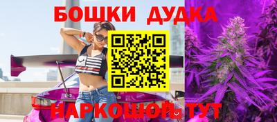 сатива Моздок