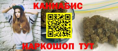 сатива Моздок