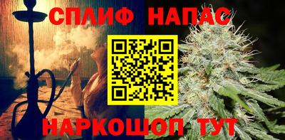 сатива Моздок