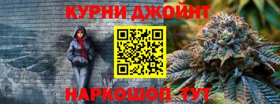 сатива Моздок